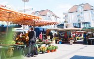 printansicht_sa_markt_motiv1.jpg