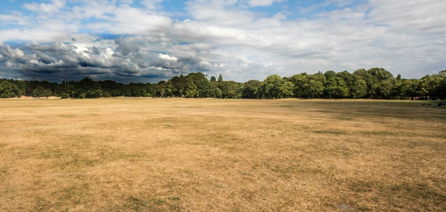 Sefton Park main field in heatwave