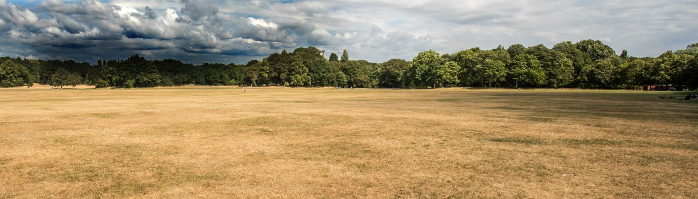 Sefton Park main field in heatwave