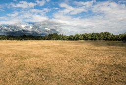 Sefton Park main field in heatwave Sefton Park main field in heatwave