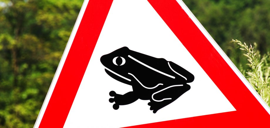 Froschfreunde