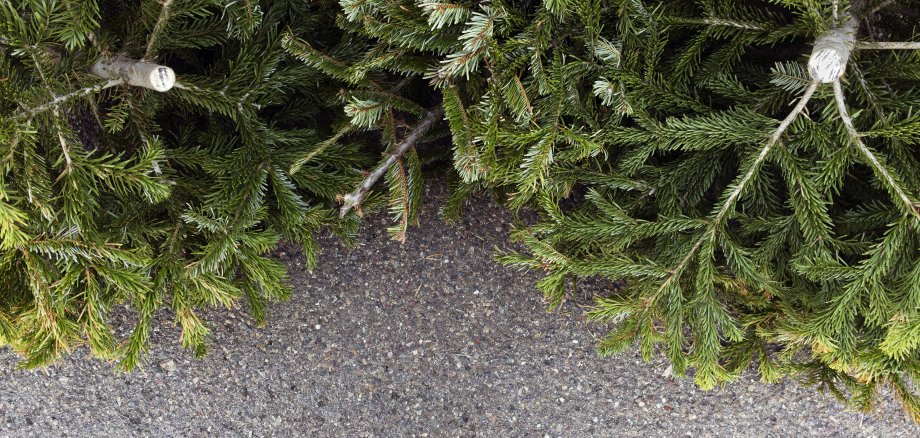 Neue Verordnung für Bioabfall