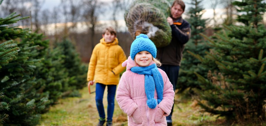 Familie mit Weihnachtsbaum auf Tannenbaumplantage