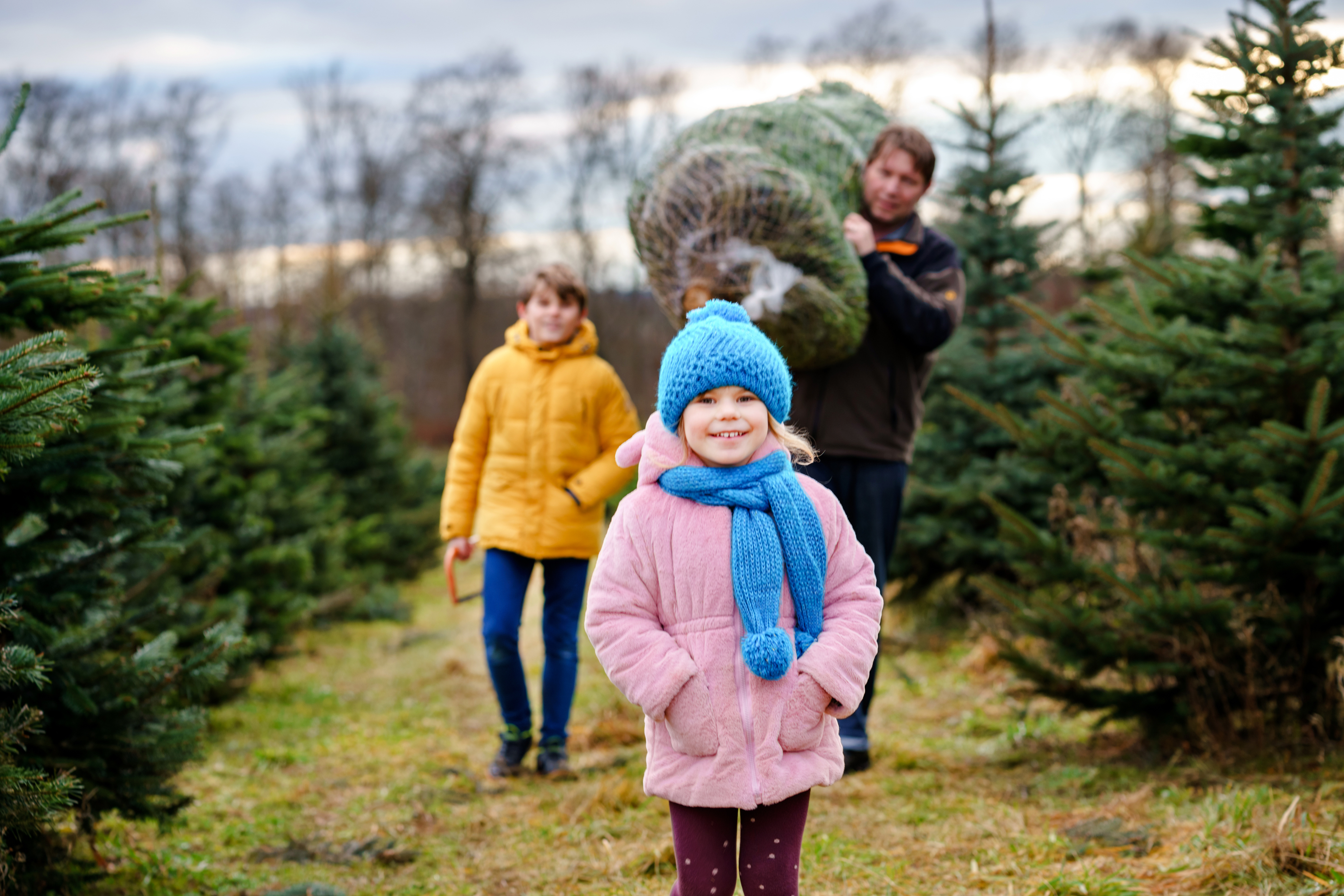 Familie mit Weihnachtsbaum auf Tannenbaumplantage Familie mit Weihnachtsbaum auf Tannenbaumplantage