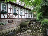 gerichtslinde_2016.jpg