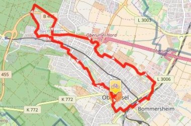 Neubuerger_Fahrradtour.jpg