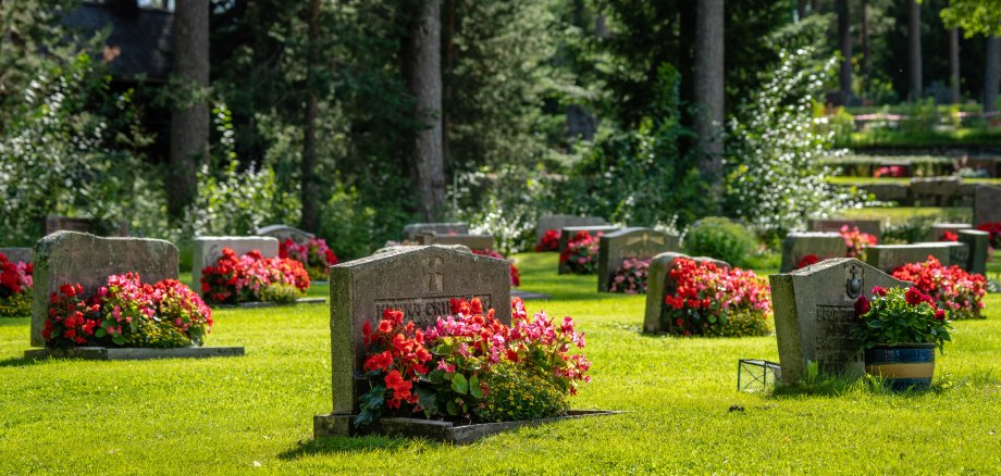 Rows of grave stones with bright  red and pink flowers