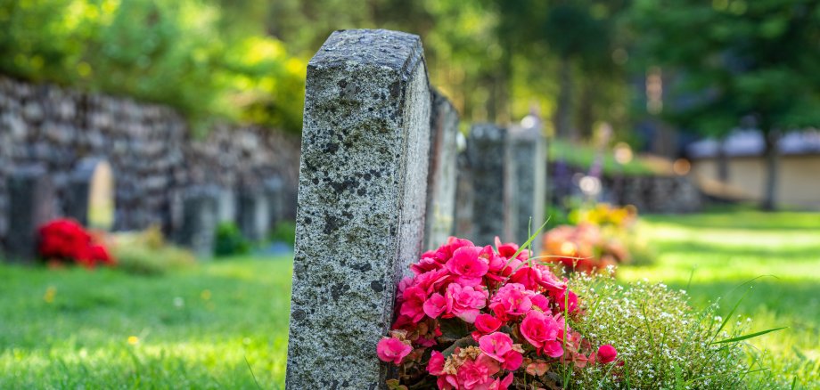 Reihe von Grabsteinen mit Blumen auf einem Friedhof