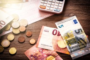 Euro-Banknoten und Münzen, Finanzen und Haushaltskonzept Haushalt