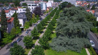 Adenauerallee_06.JPG