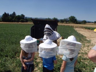 Wanderbienen_3.JPG