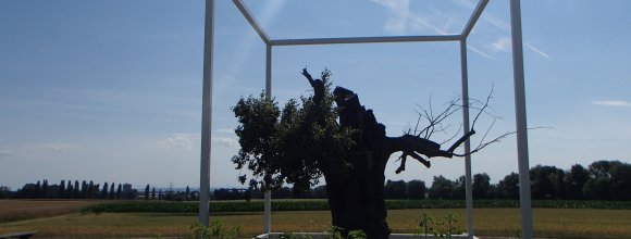 Lindenbaum_P6280576.JPG