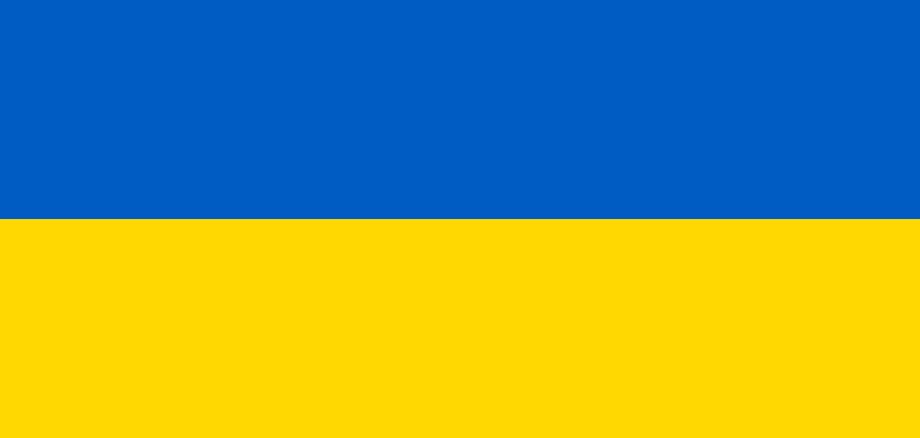 Ukraine national flag. vector illustration. business education