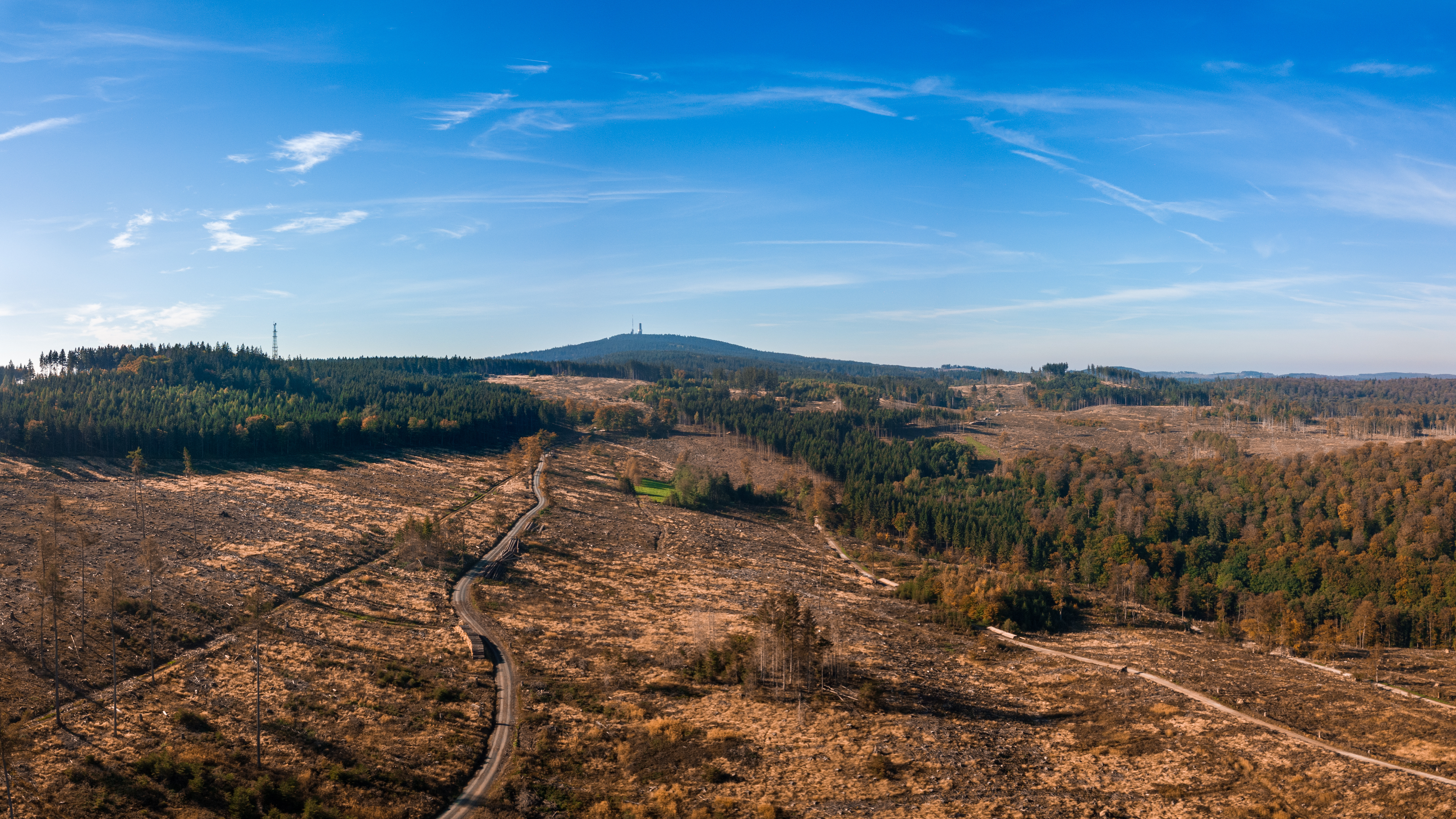 Luftaufnahme mit Drohne vom Waldsterben im Taunus durch den Bork
