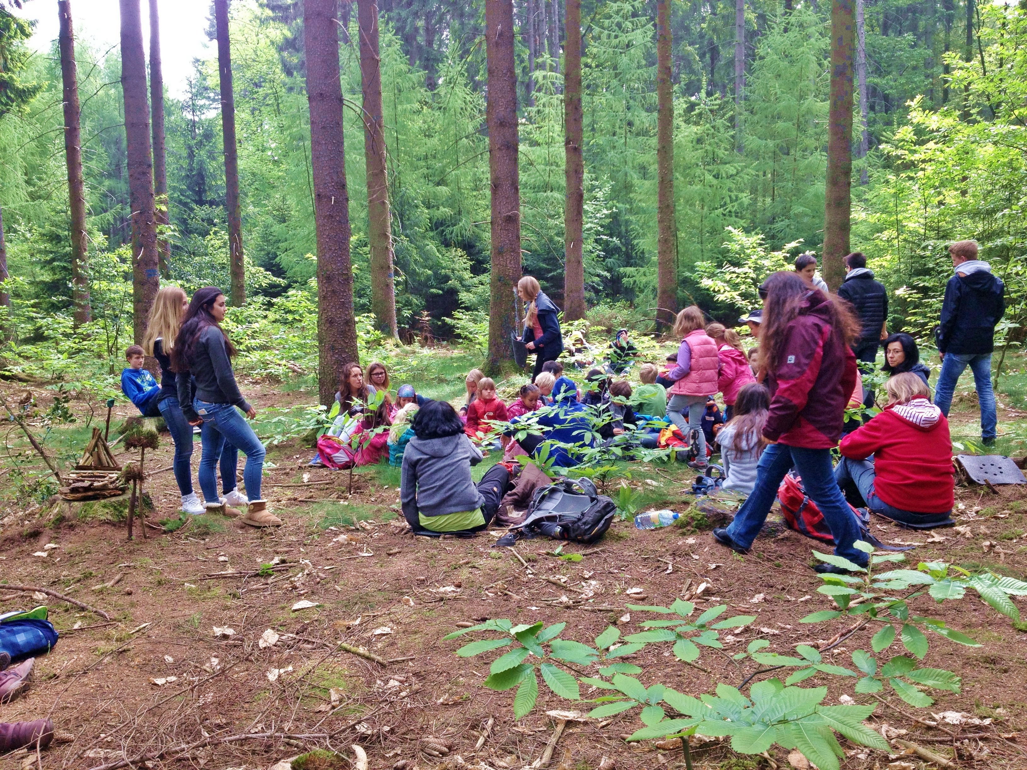 Schulwald_Gruppe_02.JPG