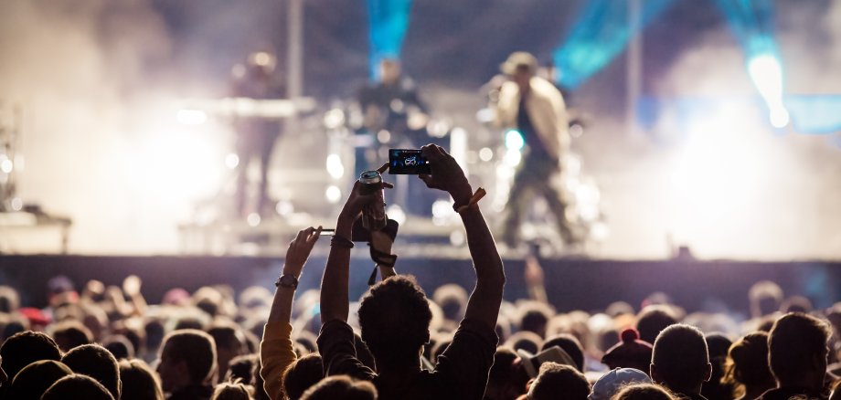 crowd at concert - summer music festival