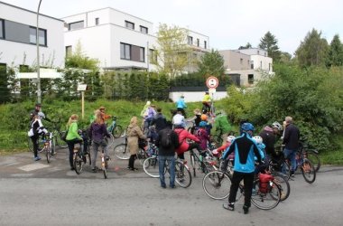 NeubRadT_5.jpg