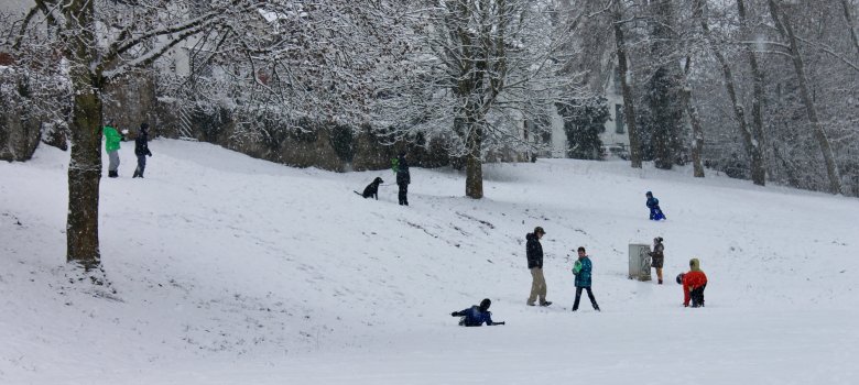 Bleiche-im-Schnee.jpg