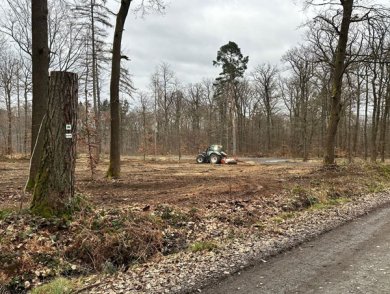 Mitarbeiter des Forstteams arbeiten an der Gestaltung des 50-Pfennig-Platzes