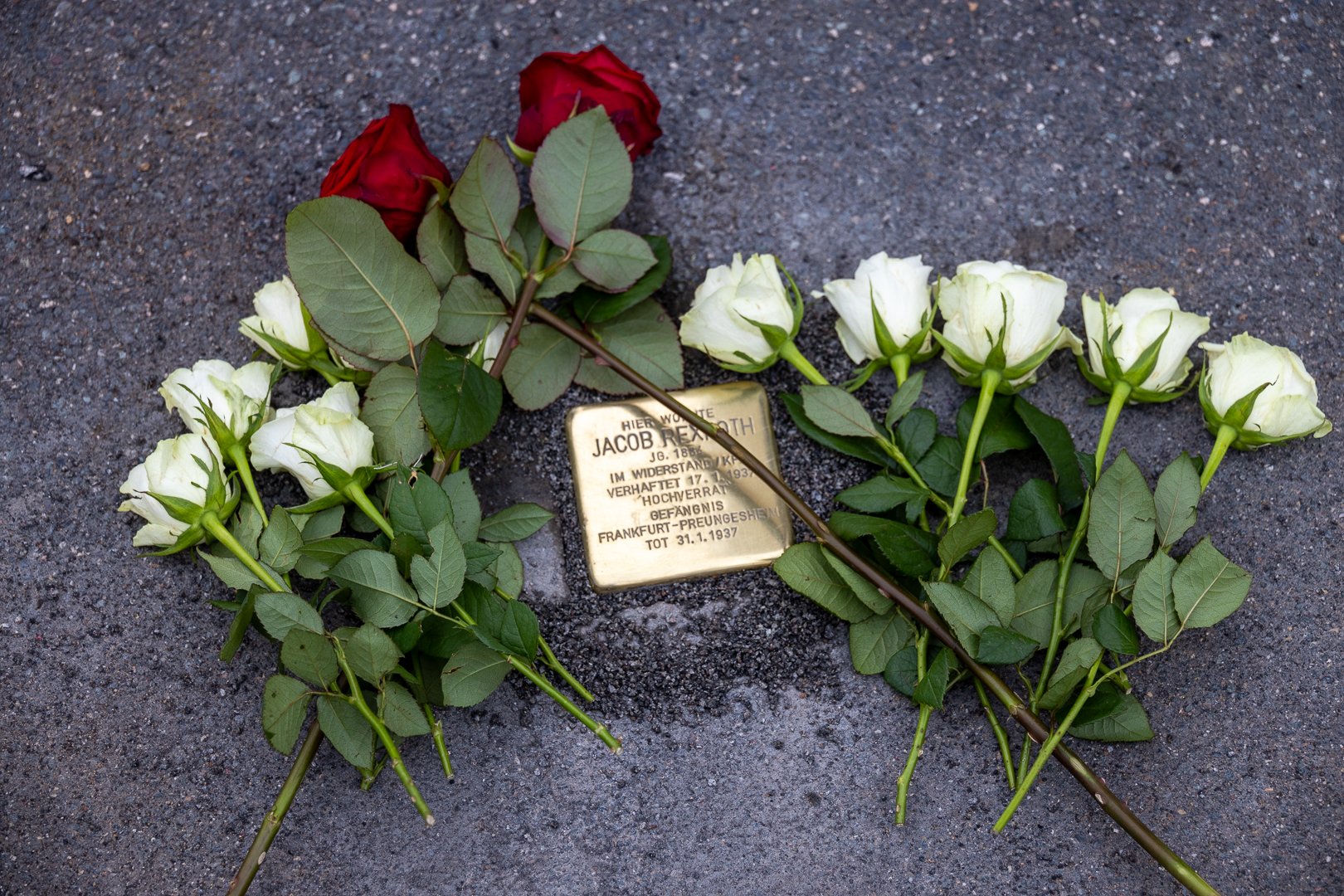 Foto Stolperstein