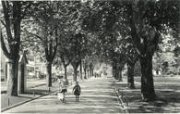 Allee_ca_1936.jpg