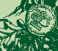 Motiv-Ausschnitt: Keltische Münze liegt auf Eichenblättern