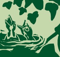 Motiv-Ausschnitt: Vogelküken im Nest