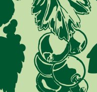 Motiv-Ausschnitt: Johannisbeeren