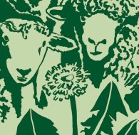 Motiv-Ausschnitt: Zwei Schafe vor einer Löwenzahnblüte