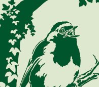 Motiv-Ausschnitt: Rotkehlchen