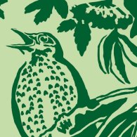 Motiv-Ausschnitt: Vogel vor Holunderblatt