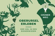 Postkarte: Oberursel Erleben mit Grüner Weg-Positionsmarke
