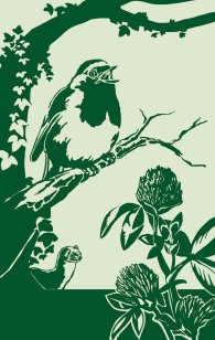 Stations-Motiv: Rotkehlchen