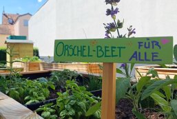 In einem Hochbeet wächst Basilikum. Darin steckt ein Schild mit der Aufschrift "OrschelBeet für Alle". D