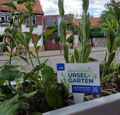In einem bepflanzten Kübel steckt ein Ursel-Garten-Schild