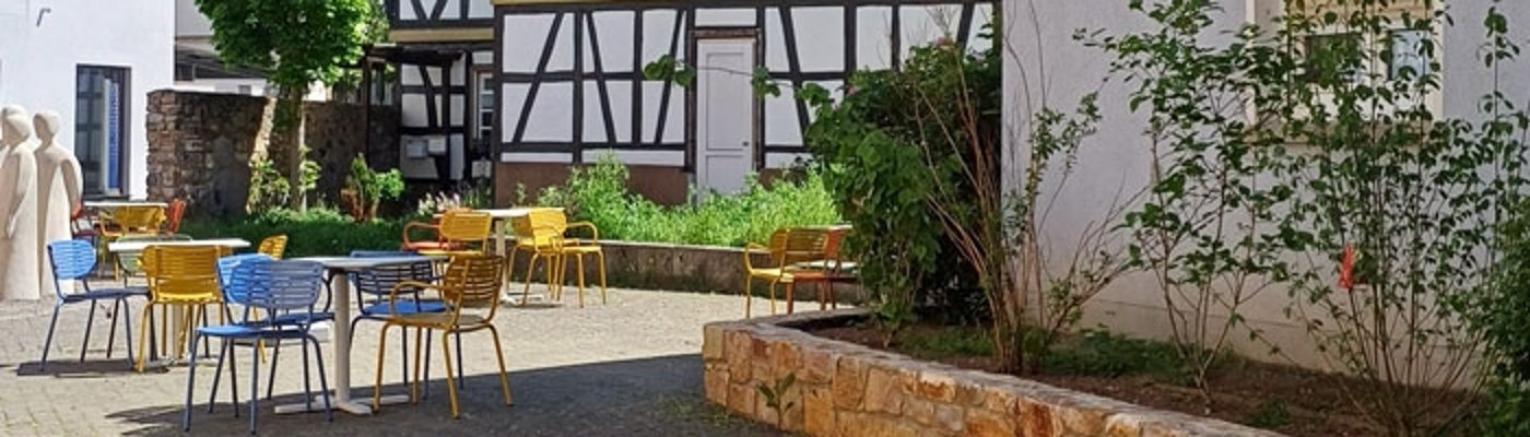 Baum und Stühle auf dem Hospitalkirchplatz mit Blick auf das Fachwerk des Alten Hospitals