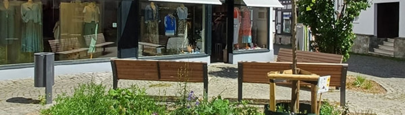 Pocket Park Strackgasse