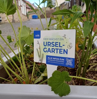 Pflanzkübel mit Urselgarten-Schild