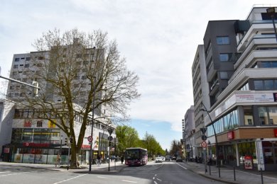 Platane an der Bärenkreuzung: Sie steht immer noch. Rundherum gibt es viele Häuser und Verkehr.