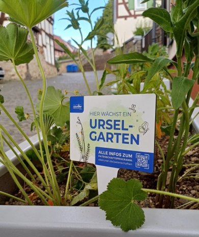 Ein Pflanzkübel mit Wildstaudenbepflanzung und einem Schild auf dem Ursel-Garten steht