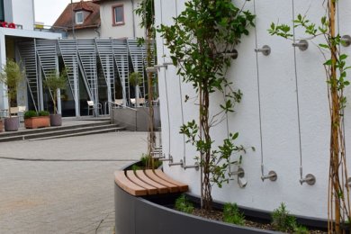 Junges Fassadengrün rankt am runden Technikgebäude des City-Parkhauses