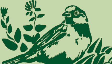 Grüner Weg-Stations-Motiv: Ein Vogel sitzt im Fassadengrün vor einer Geißblatt-Blüte
