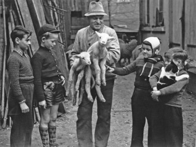 Die Ansicht des kleinen Parks 2023. Zwei Bänke stehen neben Parkplätzen. In der Mitte ein Gehölz.