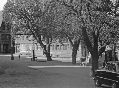 Marktplatz mit großen schattigen Bäumen und altem Brunnen