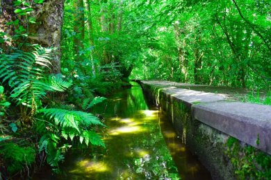 Blick entlang des Bachpfädchens oberhalb der Altstadt