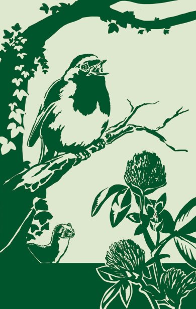 Grüner Weg Stations-Motiv: Rotkehlchen im Geäst