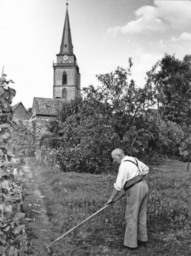 Historische Fotoansicht in Richtung des Sankt Ursula Turmes. Davor stehen zwei Häuser und einige Bäume. Ein Feldweg führt entlang einer Wiese. Dort steht ein Mann mit einem Rechen und verrichtet Gartenarbeiten.