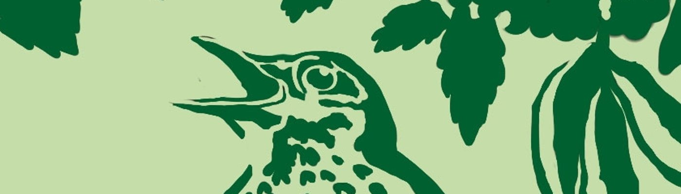 Grüner Weg Stations-Motiv: Vogel vor einer Holunderblüte