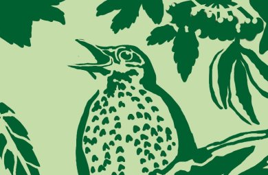 Grüner Weg Stations-Motiv: Vogel vor einer Holunderblüte