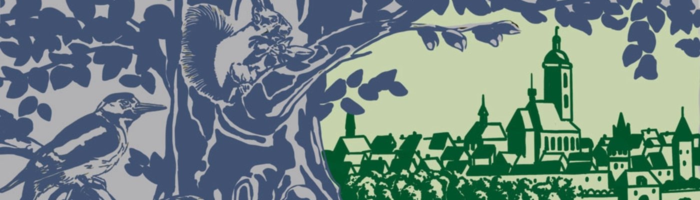 Drei Weiderich-Arten - Ausschnitt von Stromkastenbild